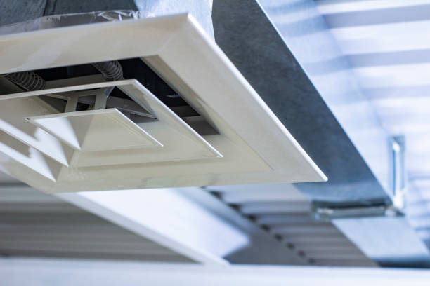 Best Air Duct Sanitizing Services  in USA